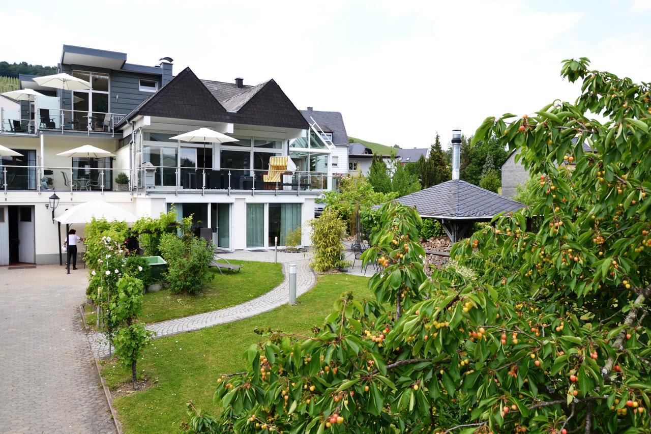 Hotel Ferienweingut Port à Commune fusionnée de Commune fusionnée de Bernkastel-Kues Extérieur photo